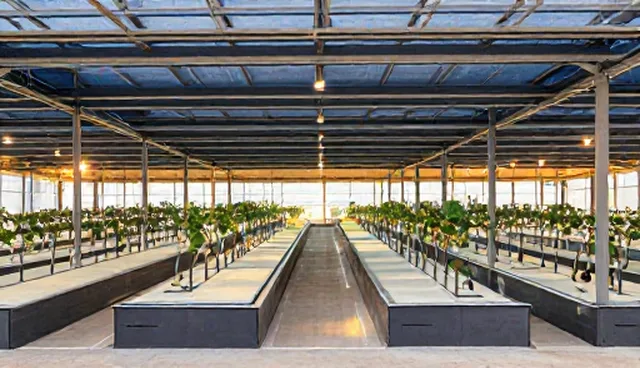 多场景下的选品策略与平台流量优化路径